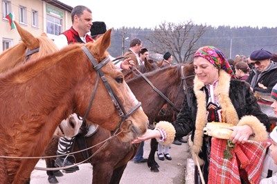 Конски кушии в с. Бачево