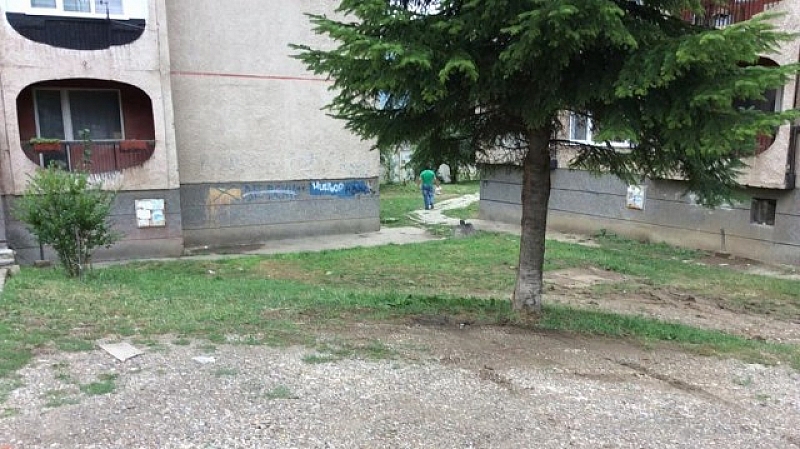 Разследват смъртта на захвърленото бебе в Перник