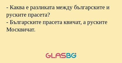 - Каква е разликата между българските и руските прасета?
- Българските прасета квичат, а руските Москвичат.