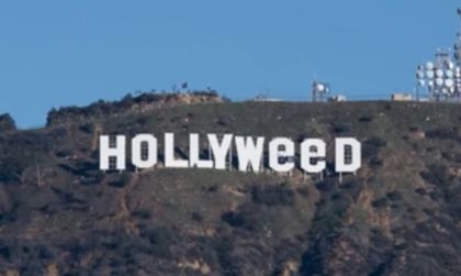 Hollyweed: Вандализмът и последствията...