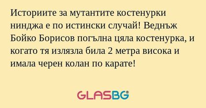 Историите за мутантите костенурки...