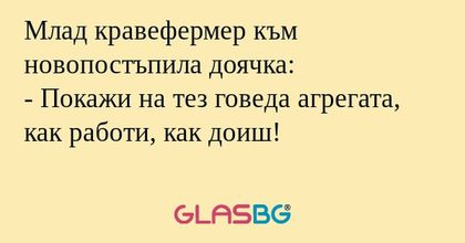 Млад кравефермер към новопостъпила...
