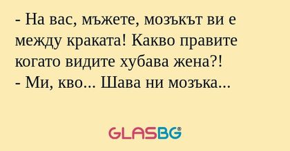 На вас, мъжете, мозъкът ви е...