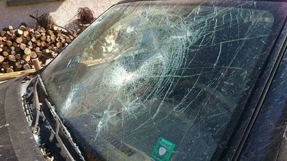 Арестуваха трима роми за побоя над лесничеи в Пловдивско!