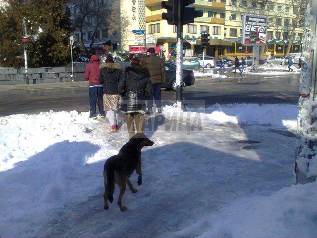 Вижте пързалките по тротоарите в Пазарджик (ВИДЕО и СНИМКИ)