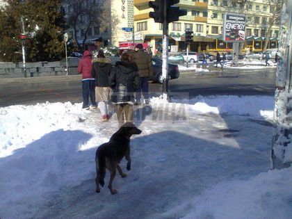 Вижте пързалките по тротоарите в Пазарджик (ВИДЕО и СНИМКИ)