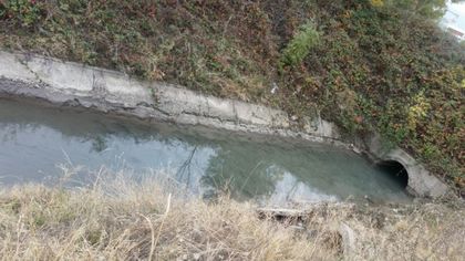 Няма мъртва риба в река Чепеларска, установиха от РИОСВ – Пловдив