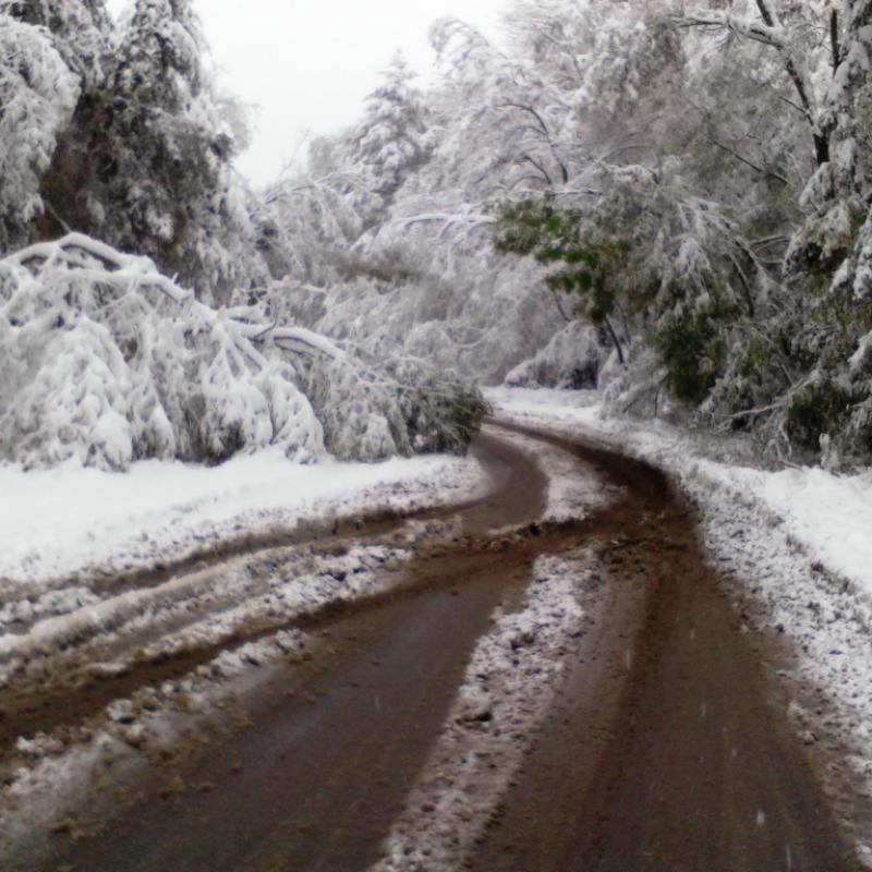 Габрово: 20 см е снежната покривка в прохода Шипка, пътят е проходим при зимни условия