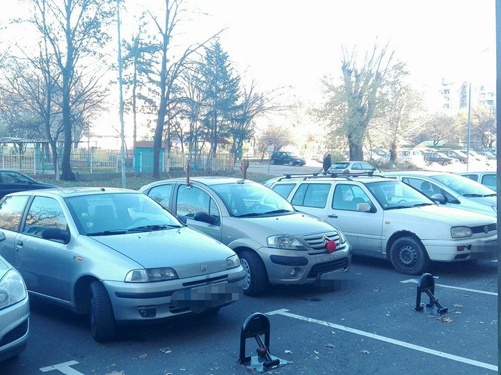 Предколедно: Еленчета кацнаха на паркинг в Тракия (СНИМКИ)