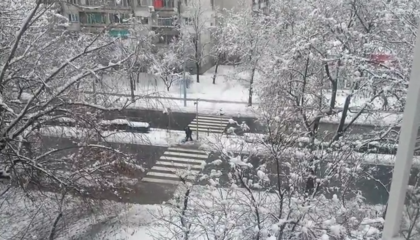 Къде е Чистота? Пак обикновеният човек е излезнал да почиства! ВИДЕО