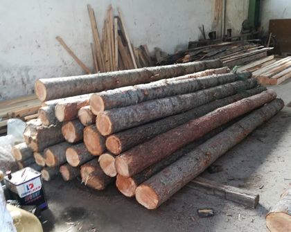 Отново акция срещу незаконна дървесина
