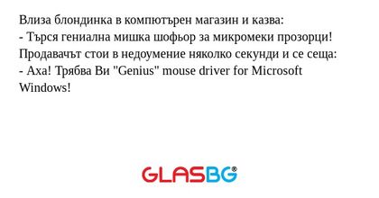 Влиза блондинка в компютърен магазин...