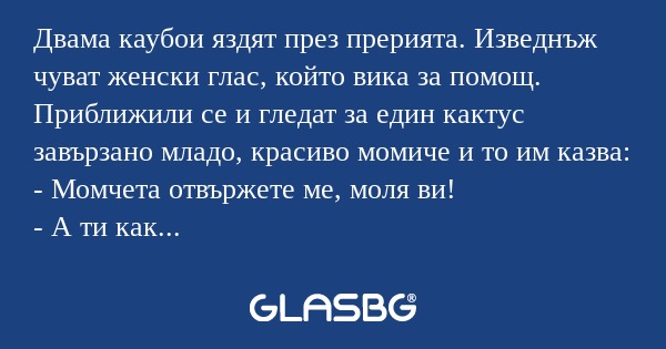 Двама каубои яздят през прерията...