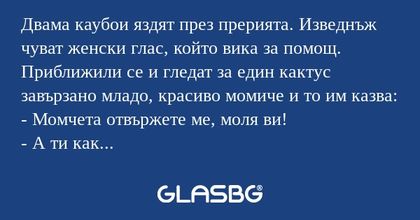 Двама каубои яздят през прерията...