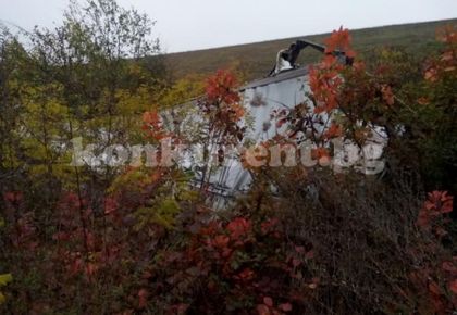 Водач на ТИР заспа зад волана и проби просека край Краводер (СНИМКИ)