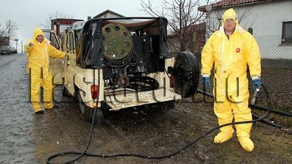 В Смолянско унищожават животни, заразени от нодуларен дерматит