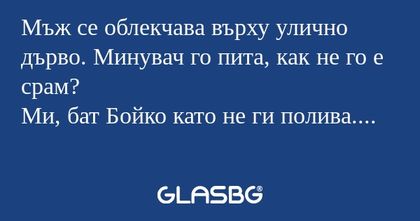 Мъж се облекчава върху улично дърво...
