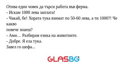 Отива един човек да търси работа...