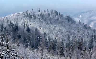 Температурите паднаха до -21 градуса в Македония