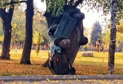 Минувачи гледат и не вярват на очите си какво е направил шофьор в местния парк