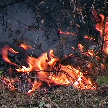 Видин: На 12 сигнала за пожари в сухи треви са реагирали огнеборците в областта