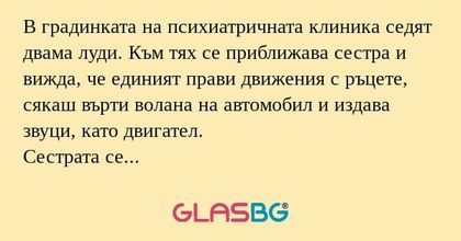 В градинката на психиатричната...