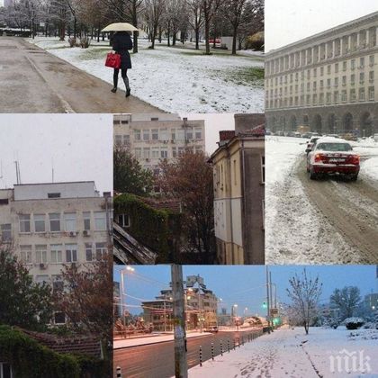 Сняг на парцали в София! Вали като за Коледа