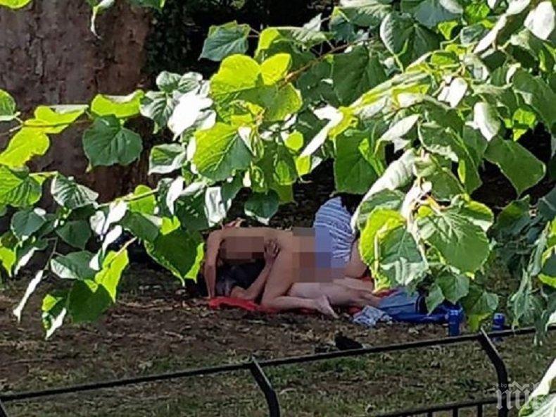 Разврат! Секс оргия посред бял ден в градски парк (СНИМКИ 18+)