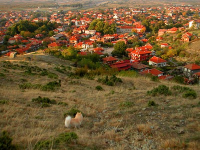 Запечатаха принудително строителното депо край Първенец