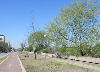 Зелените площи  на бул. ”Марица-юг” все по-привлекателни за разходка и спорт