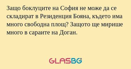 Защо боклуците на София не може...