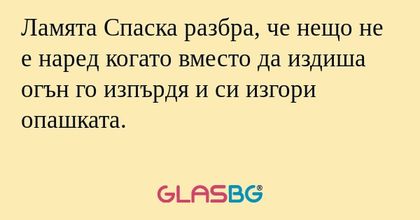 Ламята Спаска разбра, че нещо не...