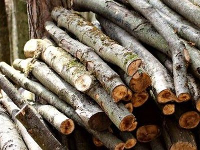 Жандармерията спипа момче, превозвало незаконни дърва в Сухиндол