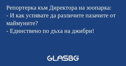 Репортерка към Директора на зоопарка...