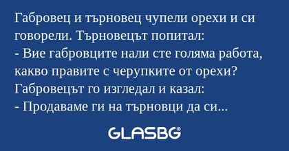 Габровец и търновец чупели орехи...