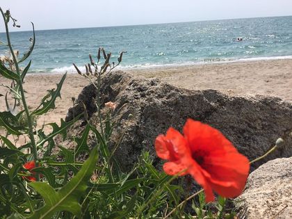 Времето днес - пълна палитра противоположности, най-добре ще е по морето