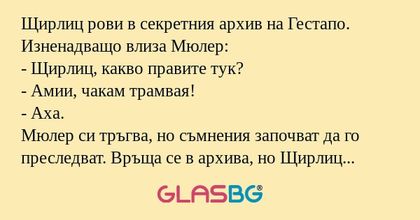 Щирлиц рови в секретния архив на...