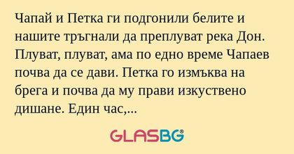 Чапай и Петка ги подгонили белите...