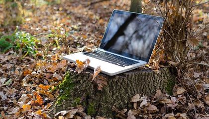 Пускат безплатен Wi-Fi в Две могили