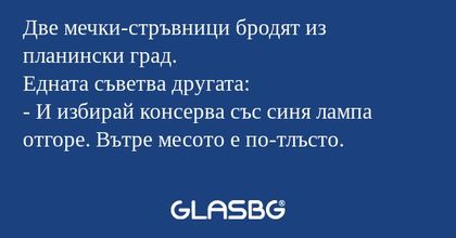 Две мечки-стръвници бродят из планински...