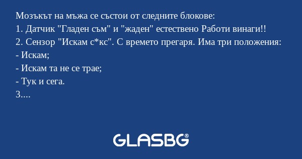 Мозъкът на мъжа се състои от следните...