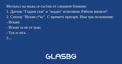 Мозъкът на мъжа се състои от следните...