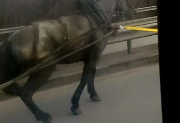 Цялата мрежа изригна заради бруталните КАДРИ 18+ с деца и насилие, смразили Ади Радева и Николаев