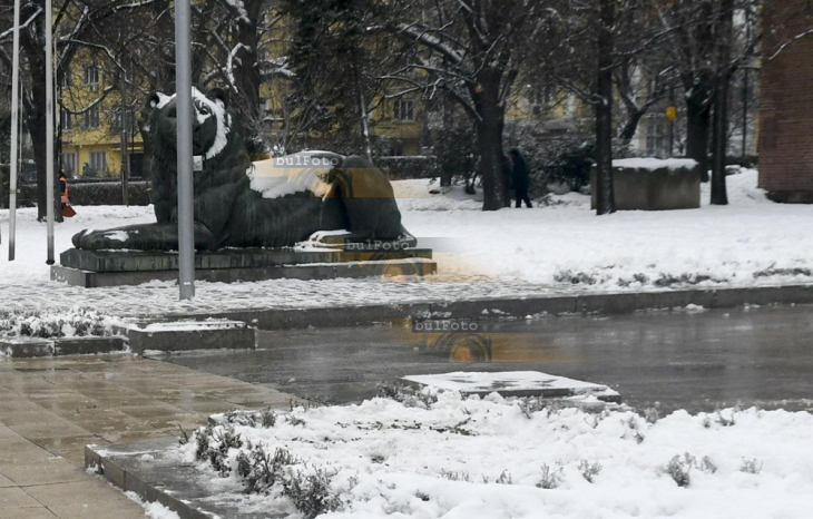 София се събуди в снежен кошмар, по пътищата на страната е опасно