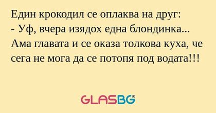 Един крокодил се оплаква на друг...