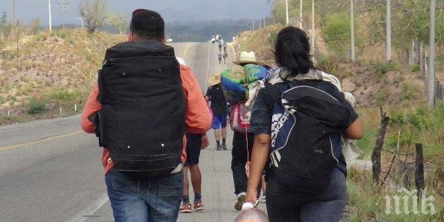 В Съединените щати заловиха 12 мигранти от Мексико