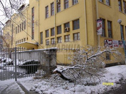 СНИМКИ: Смъртоносен кабел се скъса пред Русо в Пловдив!