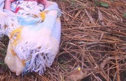 Ромката, захвърлила бебето си в Кърджали, го родила живо