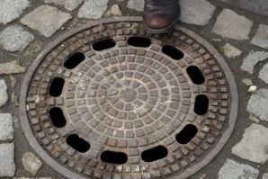 Вземат мерки срещу гризачите в Пловдив