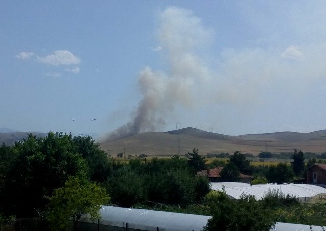 Локализираха пожара на Бесапарските ридове СНИМКА